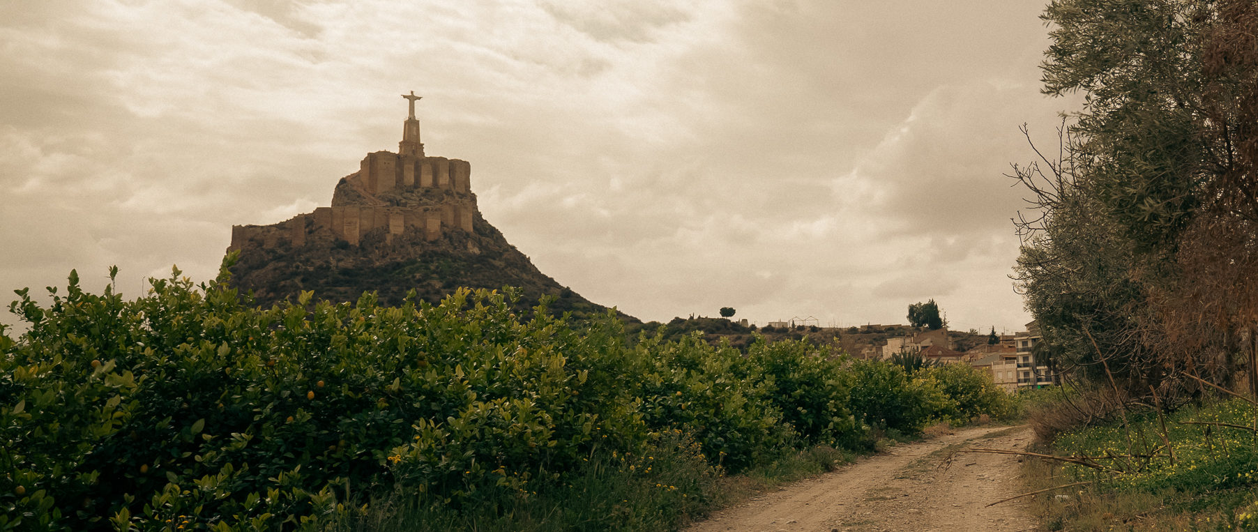 *Ruta fototurística por los dominios del Rey Lobo